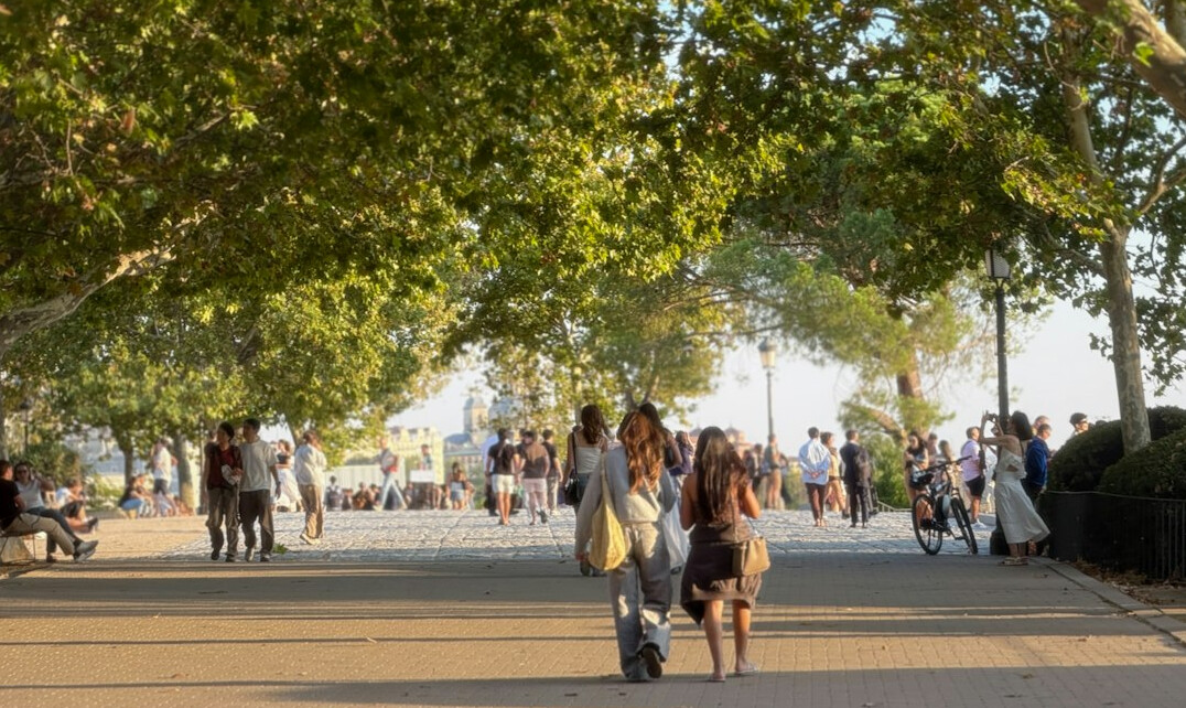 people in public park